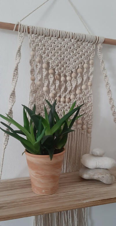 plante